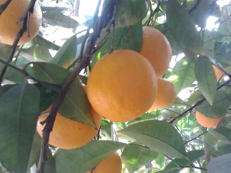 Alojamiento Rural El Valle Durcal Ngoại thất bức ảnh